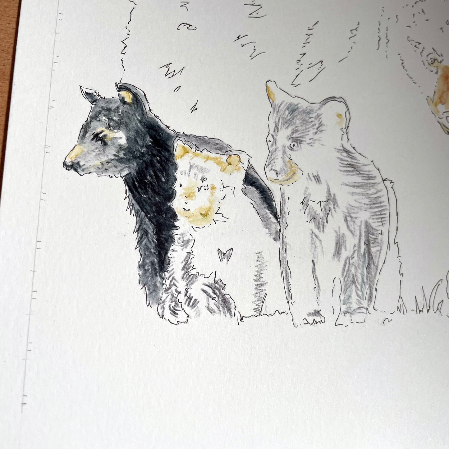 Black Bear Original Art