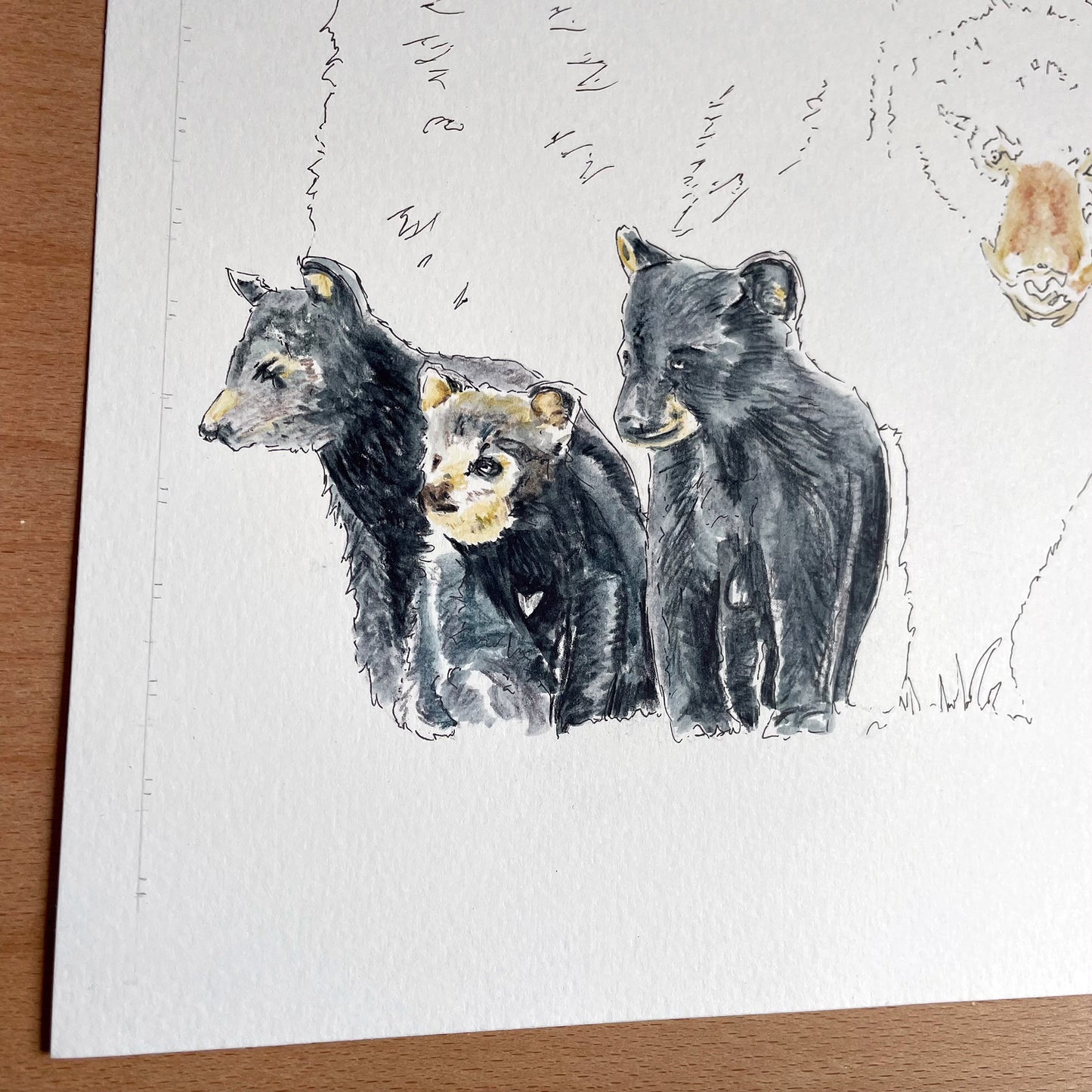 Black Bear Original Art