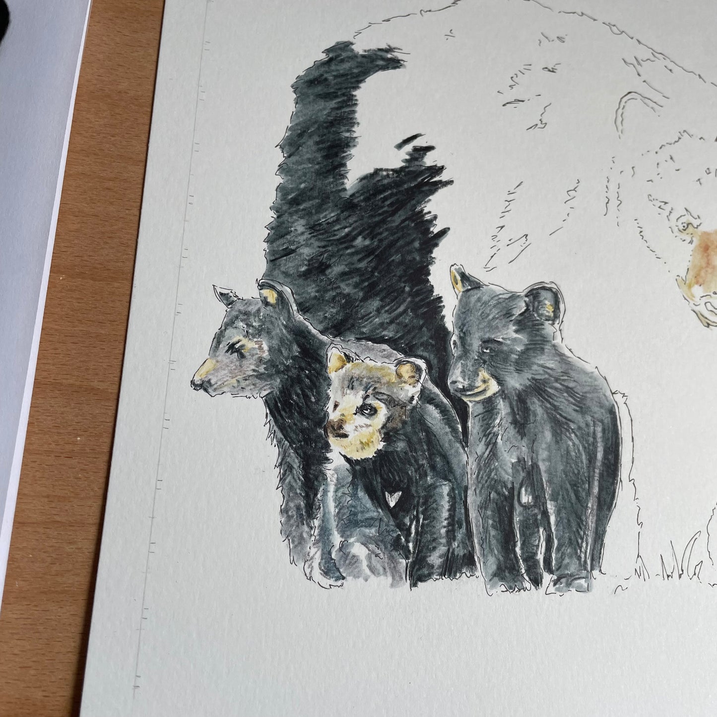 Black Bear Original Art
