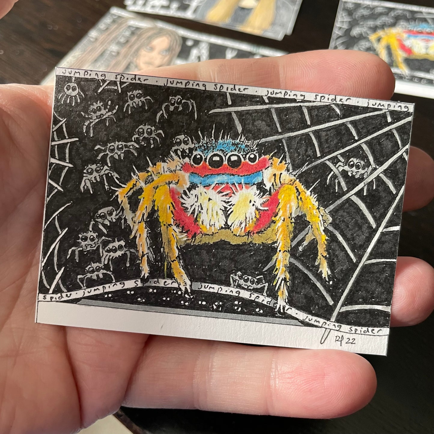Jumping Spider ACEO Print