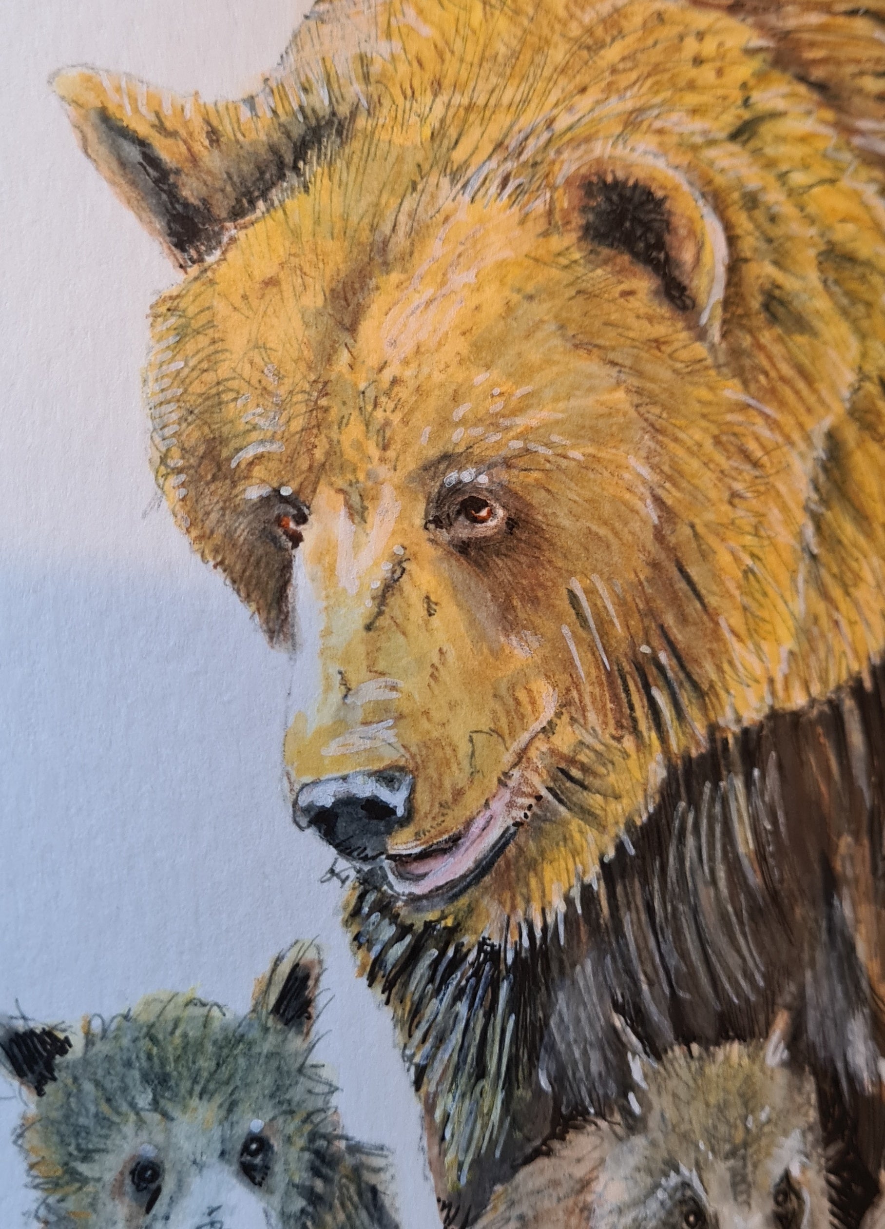 Grizzly Fine Art Print - The Tiny Art Co