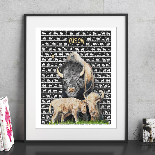 Bison Fine Art Print - The Tiny Art Co