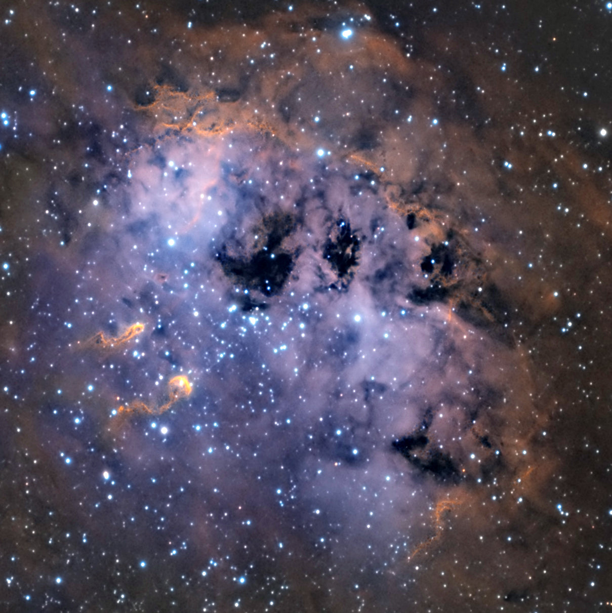 Space Cushion - Cosmic Tadpoles - The Tiny Art Co