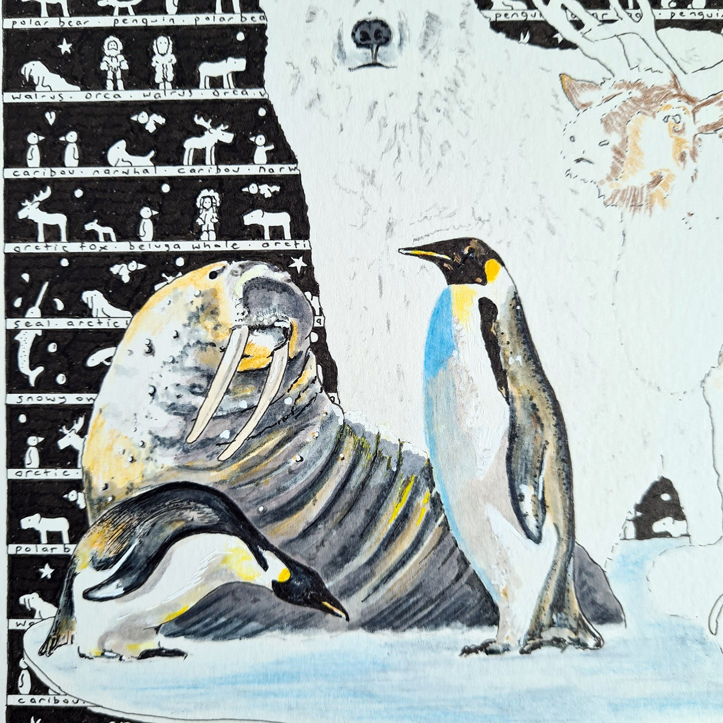 Arctic Antarctica Fine Art Print - The Tiny Art Co
