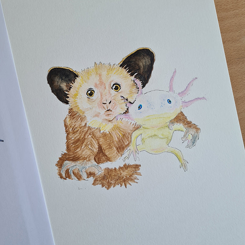 Aye Aye Axolotl Fine Art Print - The Tiny Art Co