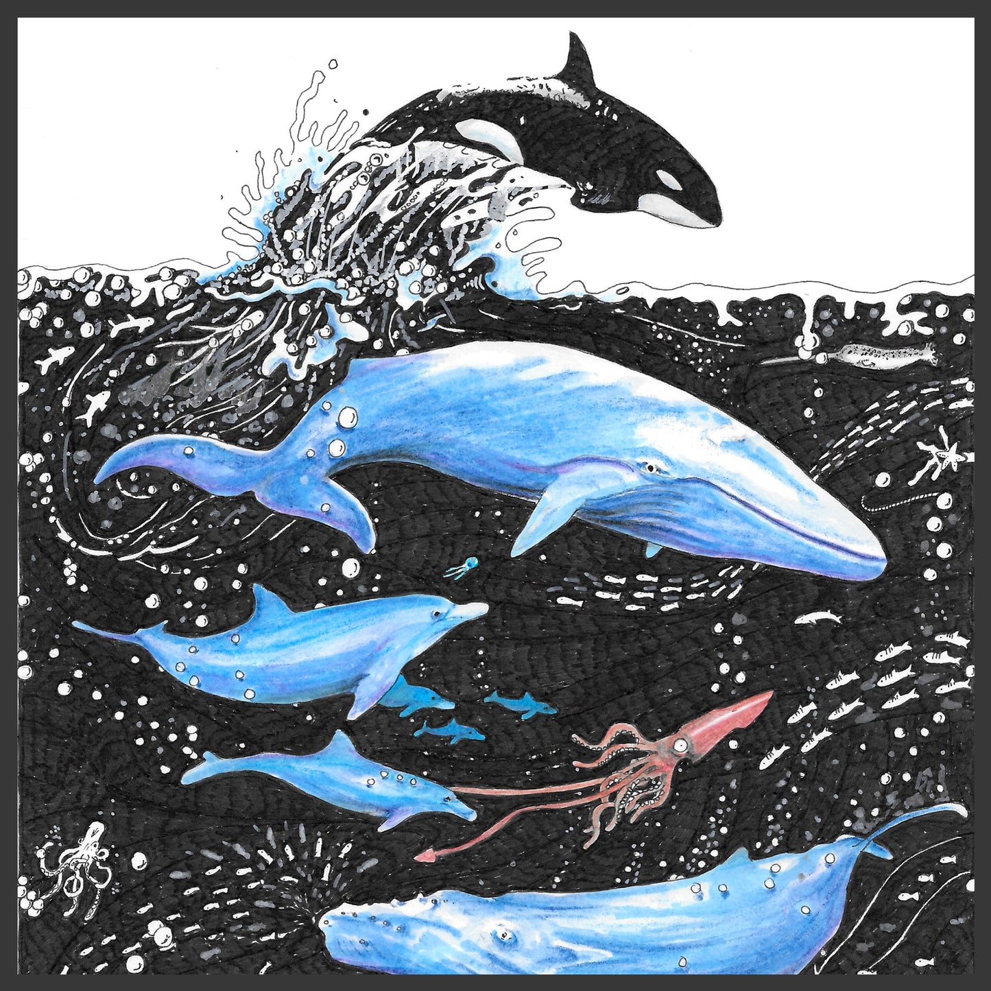 Whale Cushion - The Tiny Art Co