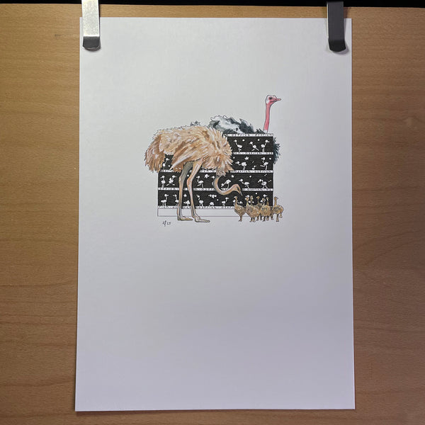 Ostrich Original Art