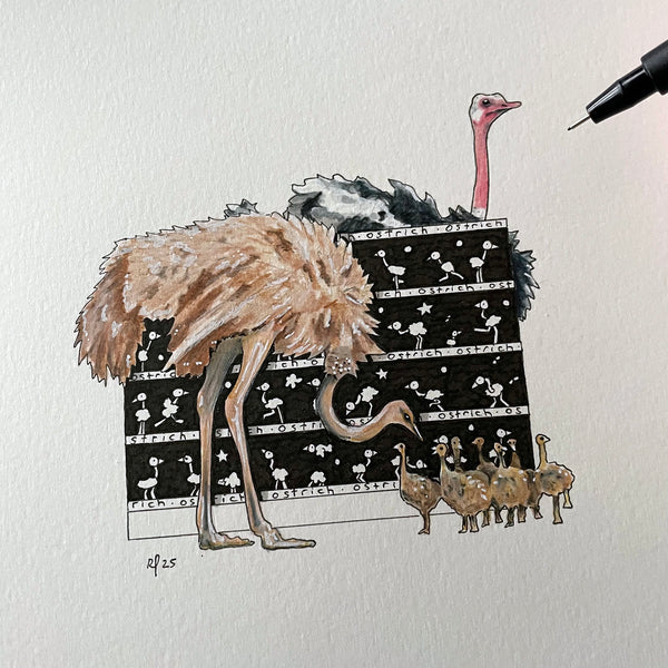 Ostrich Original Art