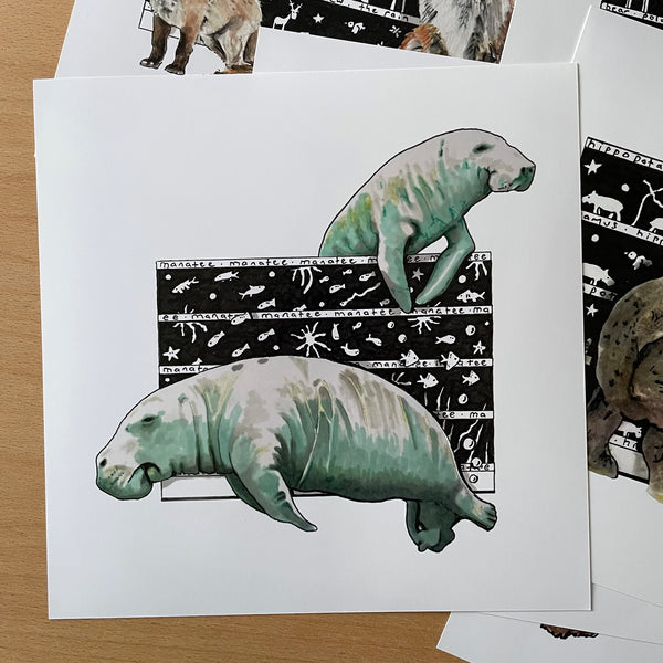 Manatee Square Print