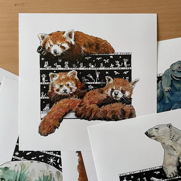 Red Panda Square Print