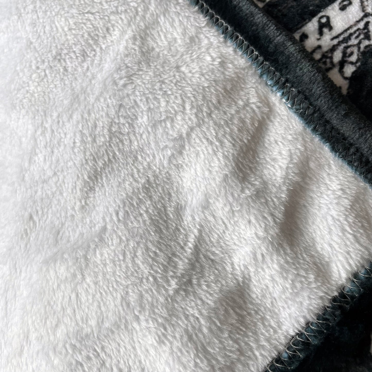 Prodigy Fleece Blanket - The Tiny Art Co