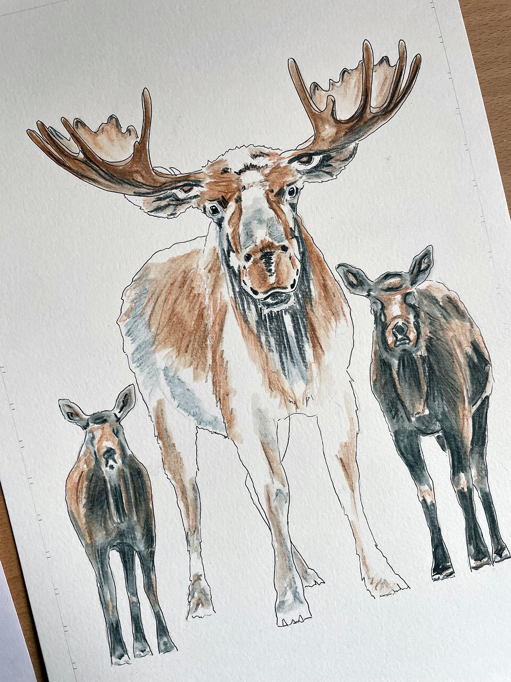 Moose Original Art - The Tiny Art Co