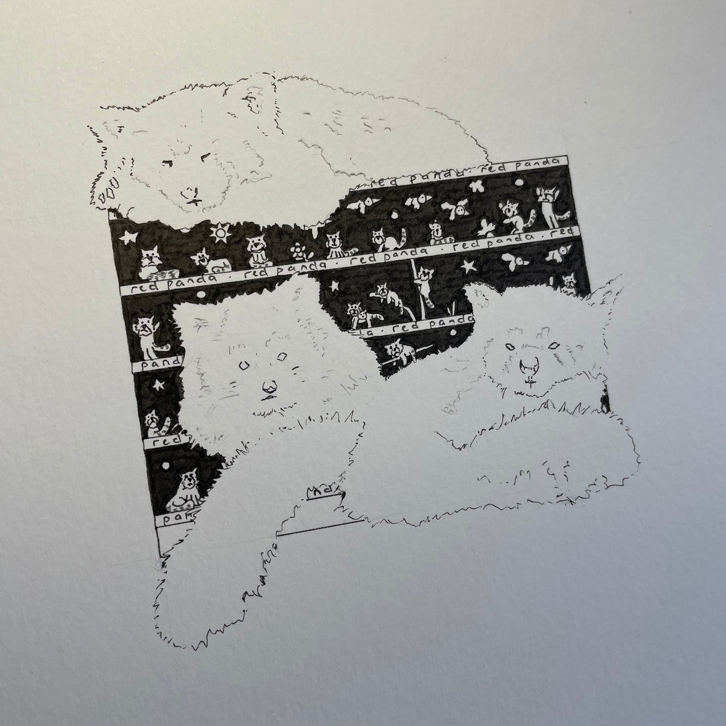 Red Pandas Fine Art Print