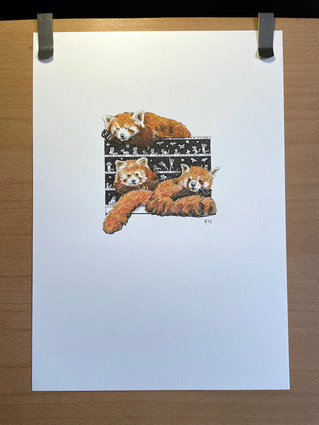 Red Panda Original Art