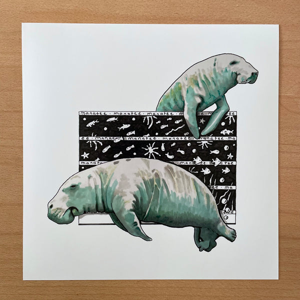 Manatee Square Print