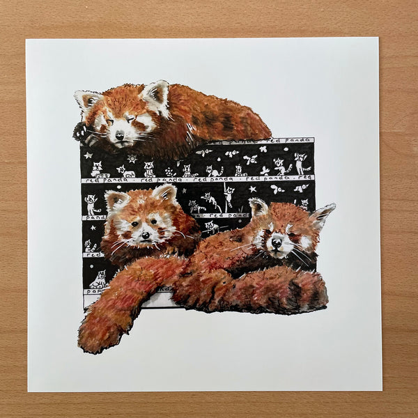 Red Panda Square Print