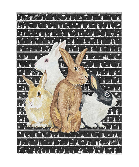 Sale Print - Rabbits