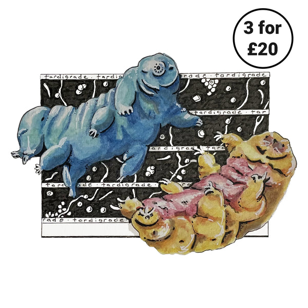 Tardigrade Square Print