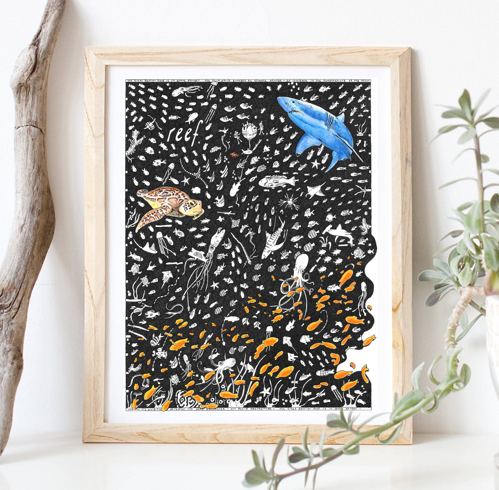 Coral Reef Fine Art Print - The Tiny Art Co