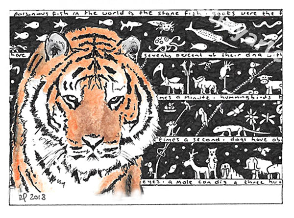 Tiger ACEO Print - The Tiny Art Co