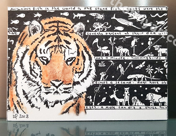 Tiger ACEO Print - The Tiny Art Co