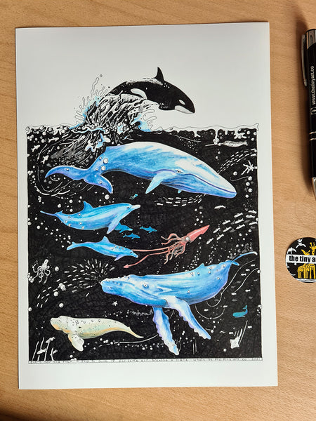 Whale Standard Print - The Tiny Art Co