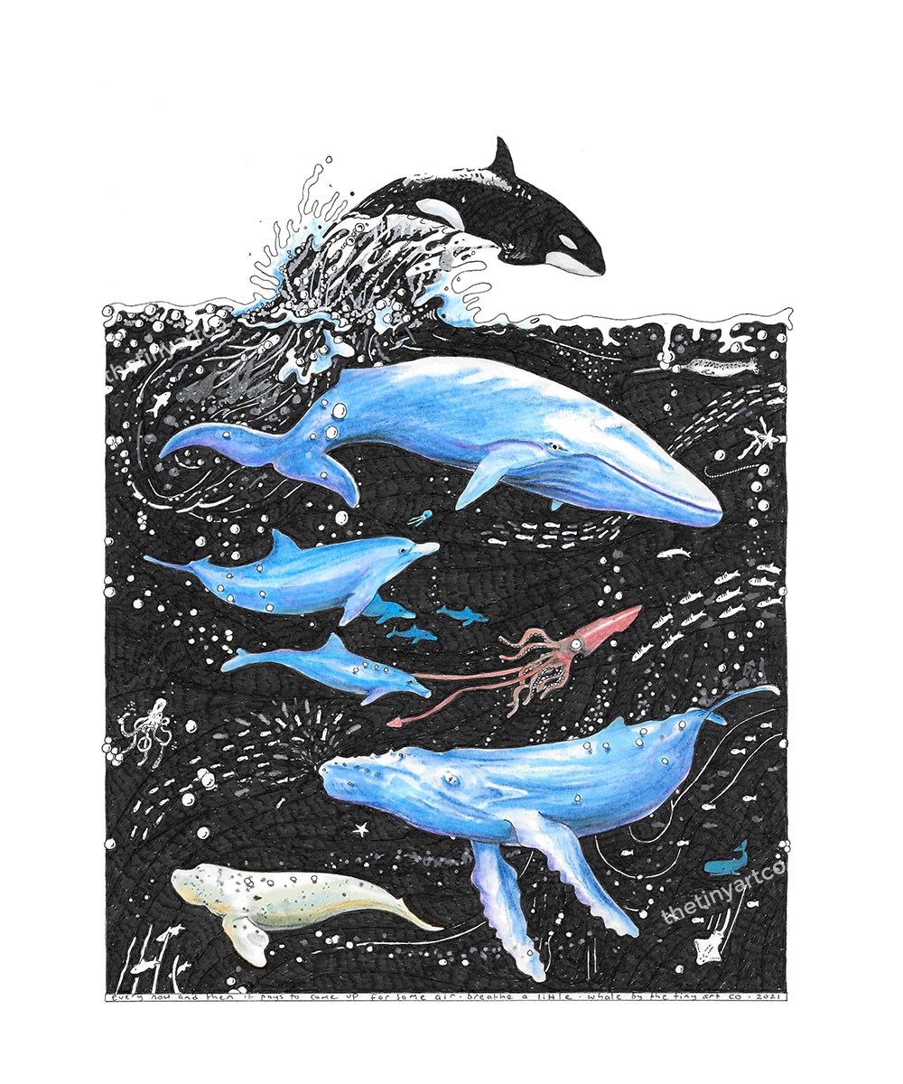 Whale Fine Art Print - The Tiny Art Co