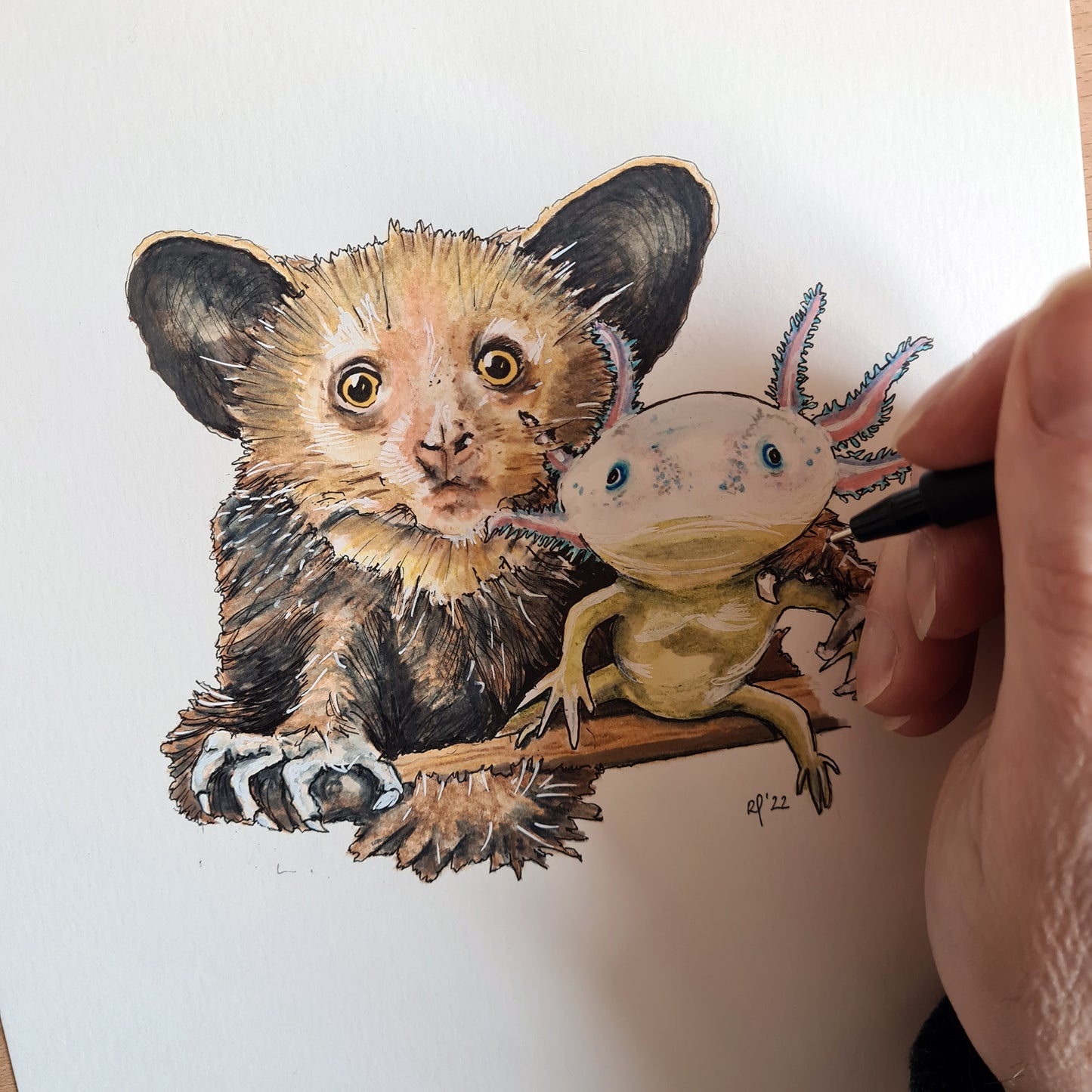 Aye Aye Axolotl Fine Art Print - The Tiny Art Co